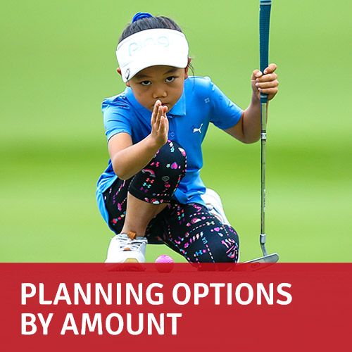 Planning options by amount